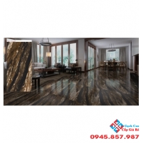 GẠCH BÓNG KIẾNG 60X120 CATALAN (8)