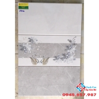 Gạch Ốp Tường 30X60 Giá rẻ 5744