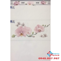 Gạch Ốp Tường 30X60 Ý MỸ Y36026L