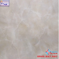 Đá Bóng Kiếng 60X60 PRIMER 9128