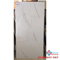 GẠCH BÓNG KIẾNG 60X120 ẤN ĐỘ E088