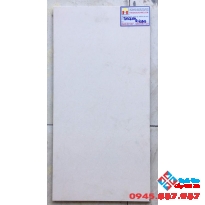 Gạch Ốp Tường 30X60 Taicera G63913