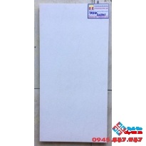 Gạch Ốp Tường 30X60 Taicera G63915