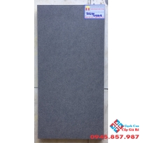 Gạch Ốp Tường 30X60 Taicera G63918