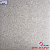 GẠCH CATALAN 60X60 MỜ 6655