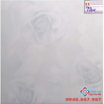 GẠCH LÁT NỀN 50X50 GIÁ RẺ V5515