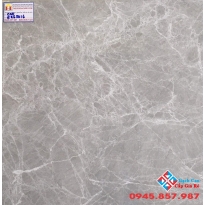 Đá Bóng Kiếng 60x60 CMC 65016