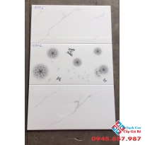 Gạch Ốp Tường 40x80 Tasa 4971