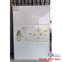 Gạch Ốp Tường 30X60 Giá rẻ VT 3502