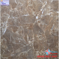 ĐÁ BÓNG KIẾNG 60X60 VIGLACERA UB6601