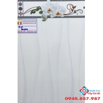 GẠCH ỐP TƯỜNG 30X45 PAK 30452