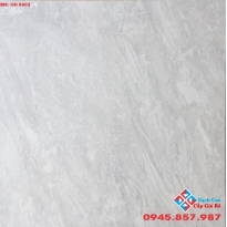 GẠCH 60X60 VIGLACERA GIÁ RẺ 01