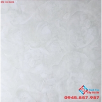GẠCH 60X60 VIGLACERA GIÁ RẺ 02
