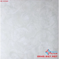 GẠCH 60X60 VIGLACERA GIÁ RẺ 02