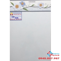 GẠCH ỐP TƯỜNG 30X45 GIÁ RẺ 7859