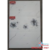 Gạch Ốp Tường 30X60 Tasa (4)