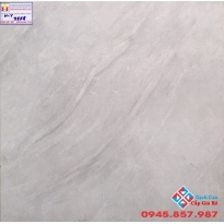 Đá Bóng Kiếng 60X60 PRIMER 9858