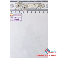 GẠCH ỐP TƯỜNG 30X45 ROAYL 34504L