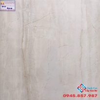 Đá Bóng Kiếng 60X60 PRIMER 9124