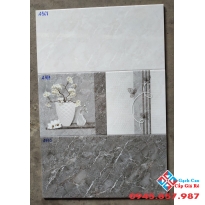 Gạch Ốp Tường 40x80 Tasa 4968