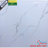 GẠCH LÁT NỀN 50X50 GIÁ RẺ VH5001