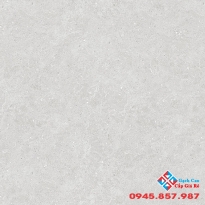 GẠCH 60X60 MỜ GIÁ RẺ CÓ SẴN TẠI KHO