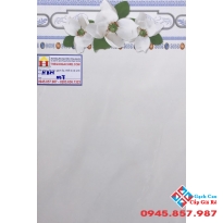 GẠCH ỐP TƯỜNG 30X45 PAK007