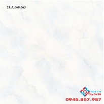 ĐÁ BÓNG KIẾNG 60X60 SALE GIÁ RẺ 01