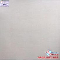 ĐÁ MỜ 60X60 Ý MỸ P65003R