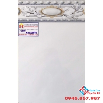 GẠCH ỐP TƯỜNG 30X45 VIỀN NỔI 3572
