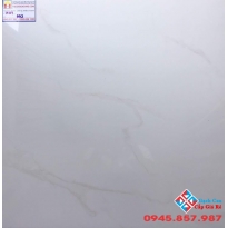 GẠCH 60X60 BÓNG KIẾNG 603 GIÁ RẺ