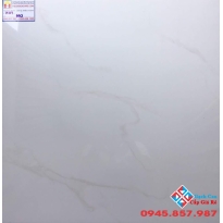 GẠCH 60X60 BÓNG KIẾNG 603 GIÁ RẺ