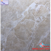 GẠCH GRANITE 60X60 VICENZA 9935