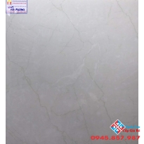 ĐÁ GRANITE VIGLACERA 60X60 GIÁ RẺ P665002