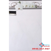 GẠCH ỐP TƯỜNG 30X45 PAK 3979