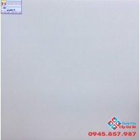 GẠCH 60X60 LÁT NỀN TAICERA G68034