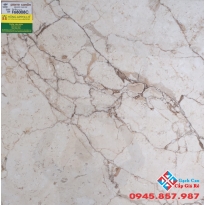 ĐÁ BÓNG KIẾNG 60X60 Ý MỸ F68008C