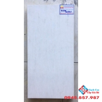 Gạch Ốp Tường 30X60 Taicera G63935