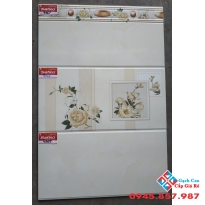 Gạch Ốp Tường 40x80 Tasa 4967