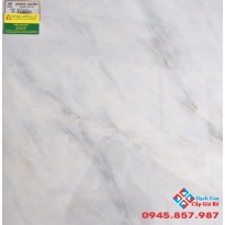 ĐÁ BÓNG KIẾNG 60X60 Ý MỸ F68001