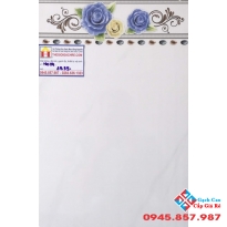 GẠCH ỐP TƯỜNG 30X45 PAK 3939