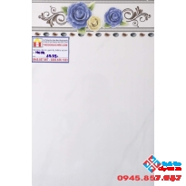 GẠCH ỐP TƯỜNG 30X45 PAK 3939