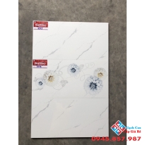 Gạch Ốp Tường 30X60 Tasa (9)