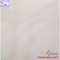 Đá Bóng Kiếng 60X60 PRIMER 9126