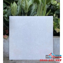 Gạch ấn độ 80x80 cao cấp hcm