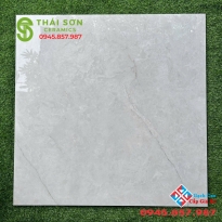 Gạch ấn độ bóng kiếng 100x100 ốp lát cao cấp chính hãng