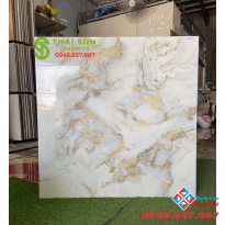 Gạch bóng kiếng cao cấp 100x100 tasa