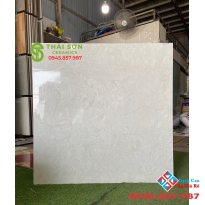 Gạch 100x100 bóng kiếng tasa