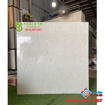 Gạch 100x100 bóng kiếng tasa