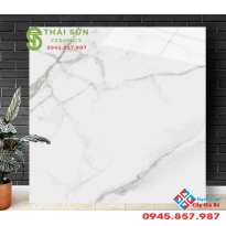 Gạch lát nền 100x100 catalan đá bóng kiếng trắng vân đá 